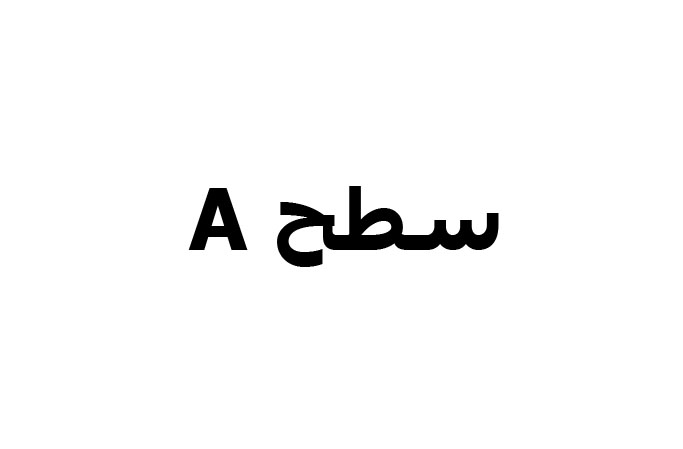 آموزش بادیگاردی پیشرفته