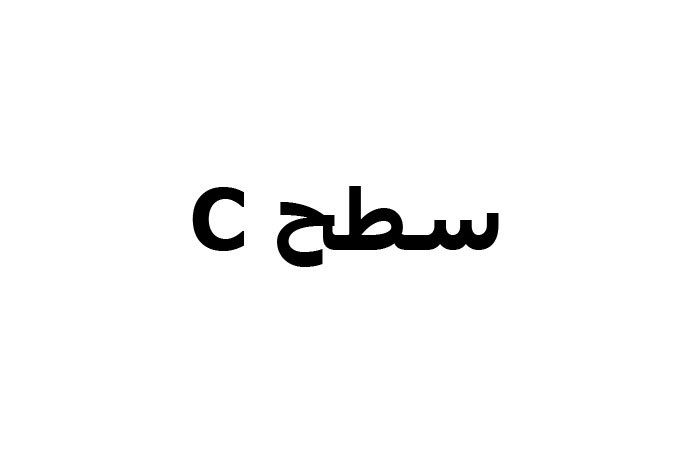 آموزش بادیگاردی مقدماتی